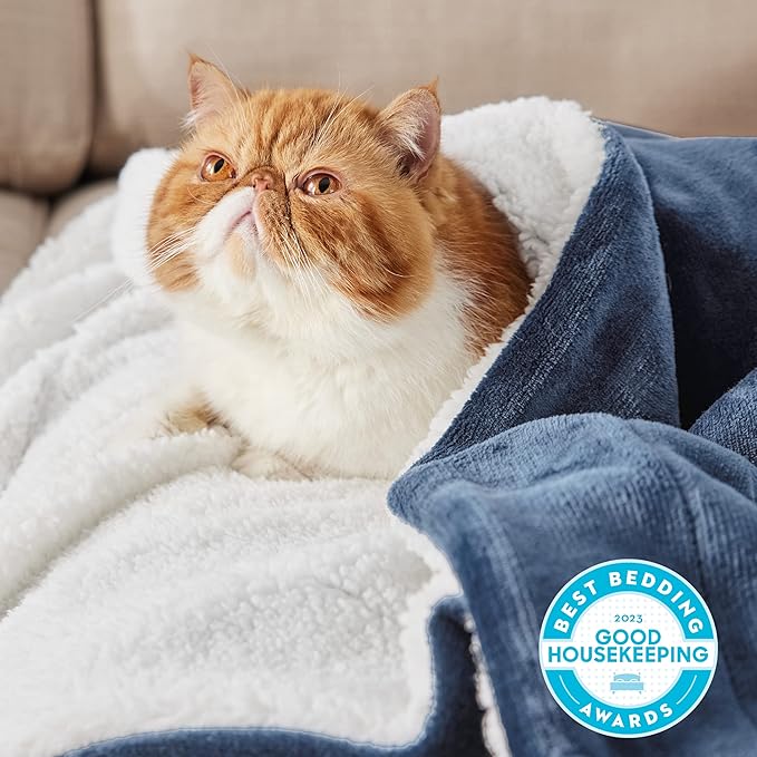 Bedsure GentleSoft Sherpa Fleece Throw Blanket Twin Size for Couch - Thick and Warm, Soft Fuzzy Plush Twin Blanket for Winter, Slate Blue, 60x80 Inches