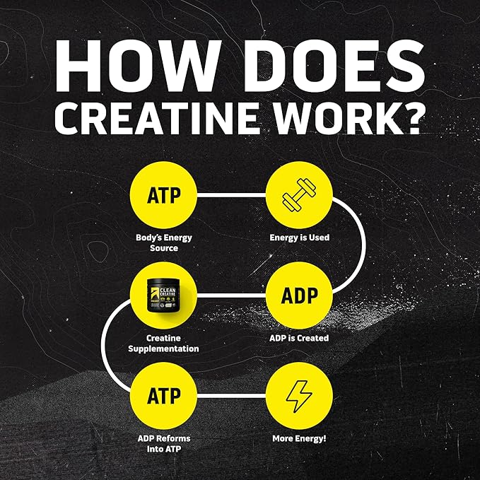 Ascent Creatine Monohydrate, 7.94 OZ