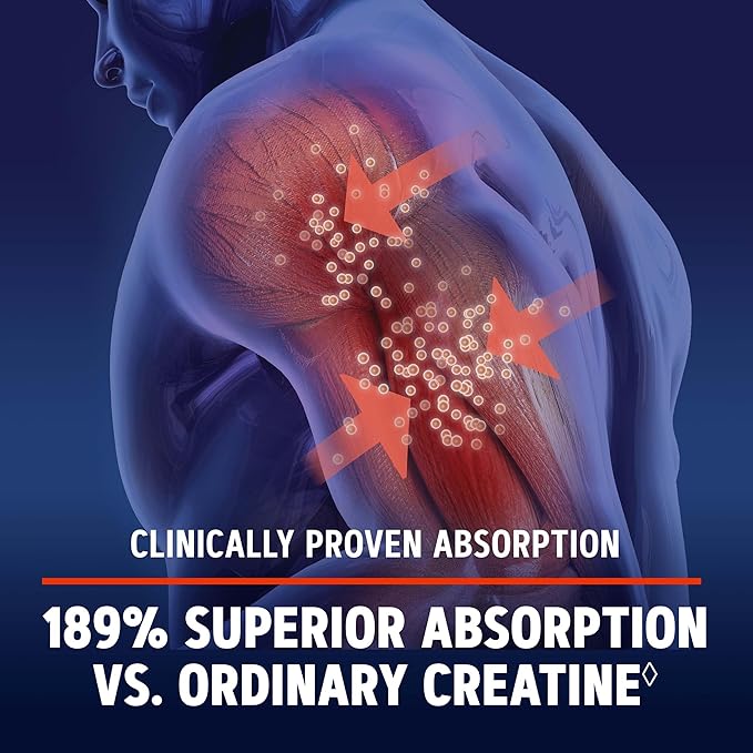 GNC AMP Creatine HCl 189 | Targeted Muscle Builder and Recovery Supplement | Fast Absorbing Performance Blend | 480 Count