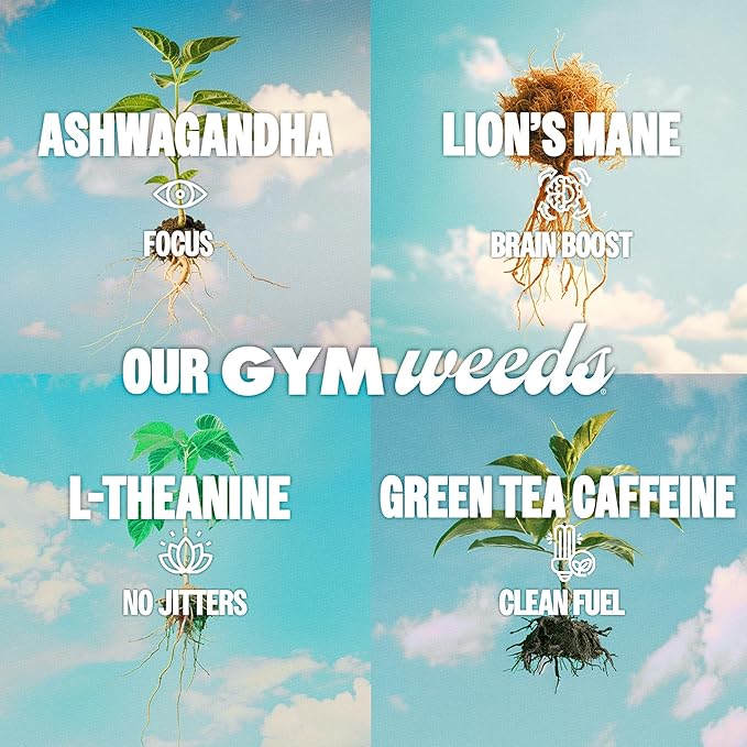 GYM WEED Athletic Focus Drink with KSM-66 Ashwagandha, Lion's Mane Mushroom, L-Theanine, 200mg Green Tea Caffeine with Natural Sweeteners Sour and Sweet Variety of Flavors, 12 Pack