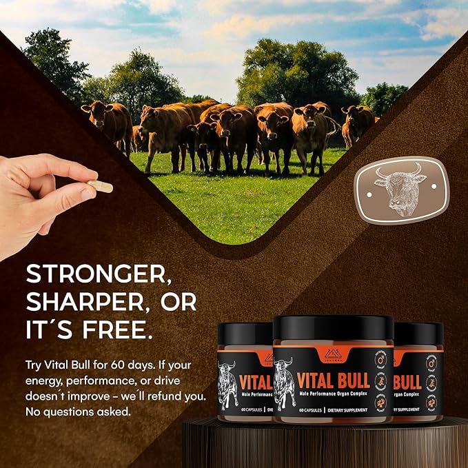Vital Bull Beef Organ Supplement for Men with Grass Fed Liver, Testicle, Prostate & Bone Marrow – Freeze Dried Beef Organ Capsules for Nutrient Support – 60 Count