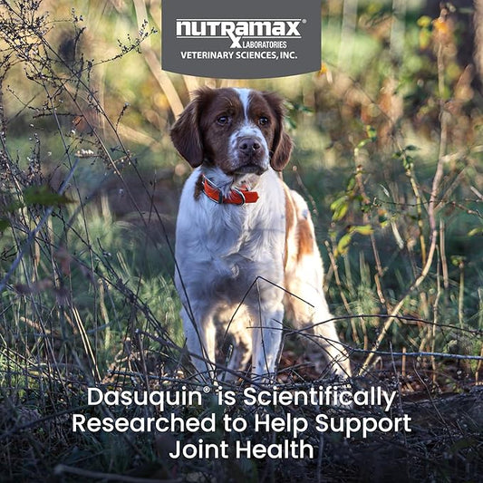 Nutramax Laboratories Dasuquin with MSM Soft Chews Small/Medium Dog 84 Count, brown