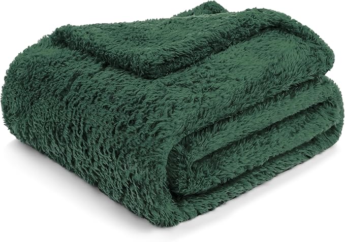PAVILIA Sherpa Throw Blanket for Couch Sofa, Emerald Green Fluffy Warm Plush Blanket for Bed, Cozy Super Soft Lightweight Throw, Fuzzy Decorative Blanket, All Season Home, 50x60