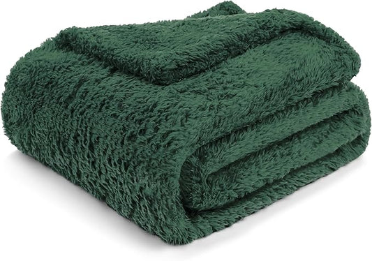 PAVILIA Sherpa Throw Blanket for Couch Sofa, Emerald Green Fluffy Warm Plush Blanket for Bed, Cozy Super Soft Lightweight Throw, Fuzzy Decorative Blanket, All Season Home, 50x60