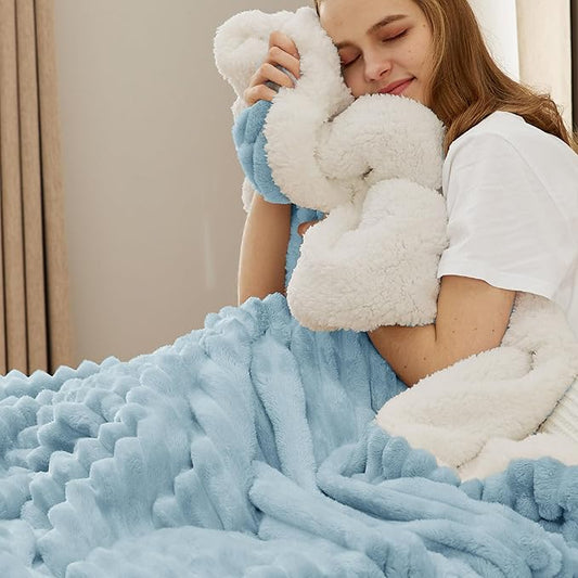 Bedsure Sherpa Blanket Queen Size for Bed - Super Soft, Cozy Fleece Thick Warm Blanket for Winter, GentleSoft Home Room Decor, Sky Blue, 90x90 Inches