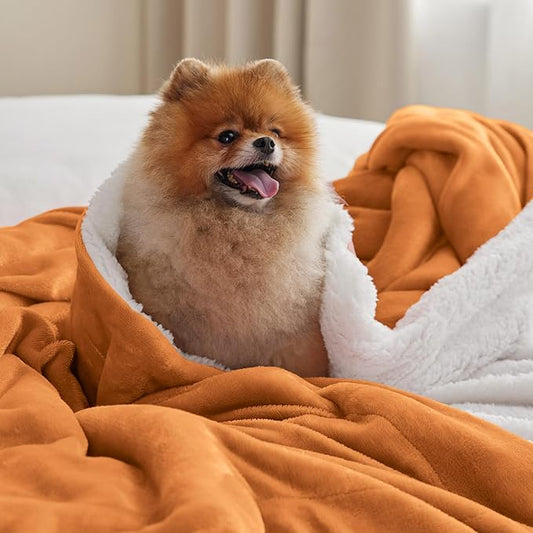 Bedsure GentleSoft Sherpa Fleece Blankets Queen Size for Bed - Thick and Warm, Soft Fuzzy Plush Queen Blanket for Winter, Orange, 90x90 Inches