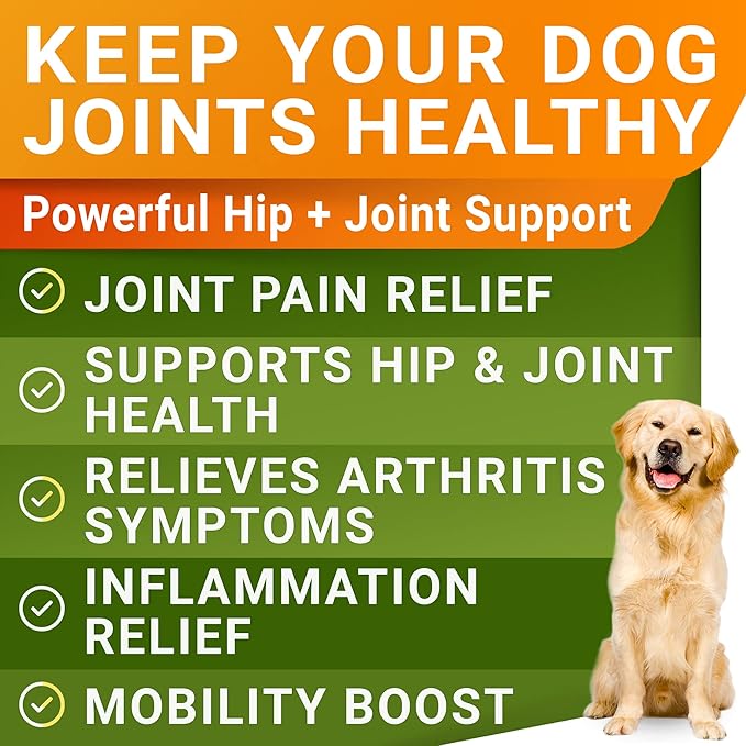 STRELLALAB Liquid Glucosamine for Dogs (16 OZ) - All-Natural Hip & Joint Supplement, Glucosamine Chondroitin Liquid, MSM & Collagen for Dogs Mobility, Joint Pain Relief for Small & Large