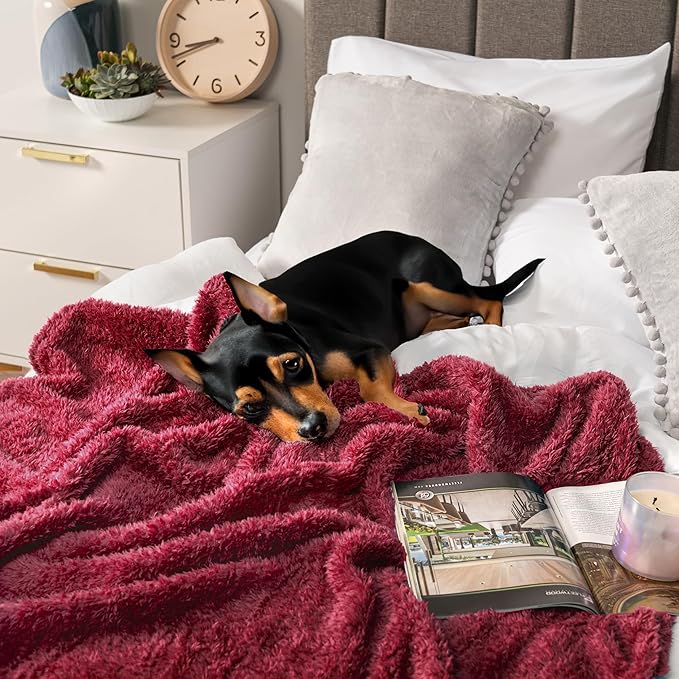 PAVILIA Sherpa Throw Blanket for Couch Sofa, Wine Red Fluffy Warm Plush Blanket for Twin Bed, Cozy Super Soft Lightweight Throw, Fuzzy Decorative Blanket, All Season Home, 60x80