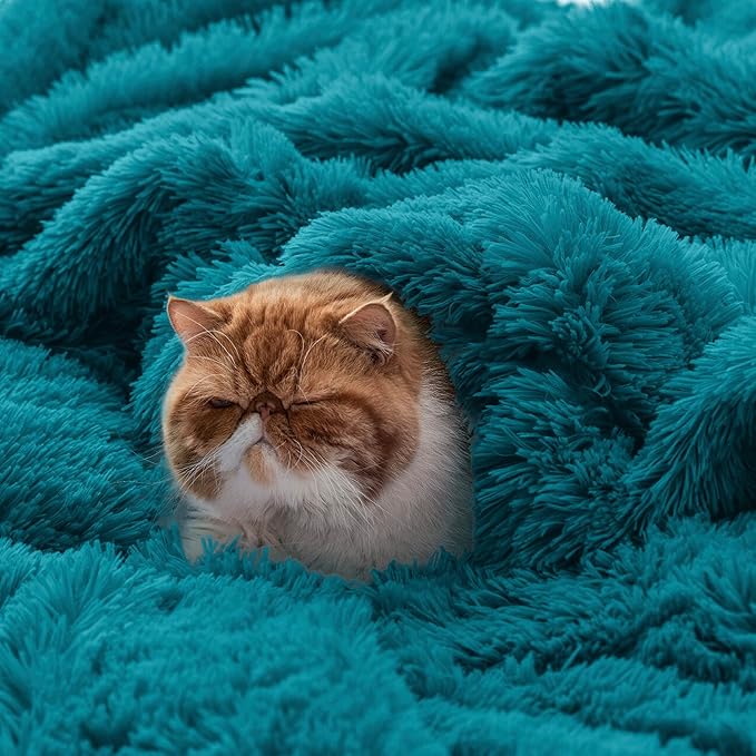Bedsure GentleSoft Fluffy Turquoise Teal King Size Blanket for Bed, Thick Soft Sherpa Faux Fur Fleece Bedding Fuzzy Plush Winter Warm Heavy Large King Blanket, Cozy Teal Gifts for Men Women, 108x90