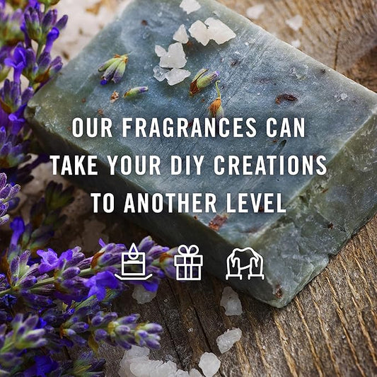 &J Fragrance Oil Tropical Set | Banana, Coconut, Awapuhi and Seaberry, Pineapple, Mango, Ocean Breeze Candle Scents for Making, Freshie Scent, Soap Making Supplies, Diffuser