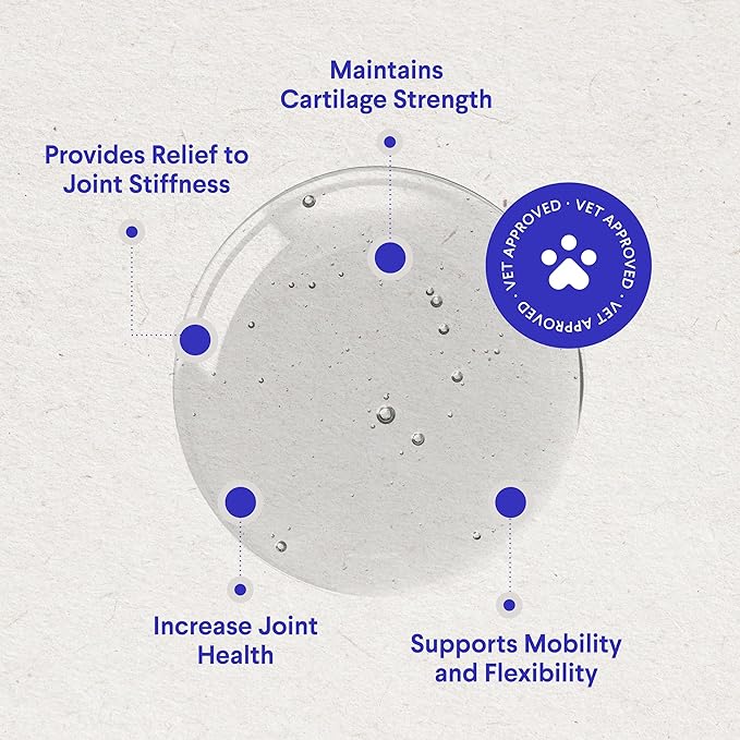 Premium Liquid Glucosamine for Dogs Strength Joint Support, Flexibility, Cartilage & Mobility - Hip and Joint Supplement with Chondroitin, MSM, Collagen & Hyaluronic Acid (16 Oz)