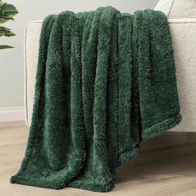 PAVILIA Sherpa Throw Blanket for Couch Sofa, Emerald Green Fluffy Warm Plush Blanket for Bed, Cozy Super Soft Lightweight Throw, Fuzzy Decorative Blanket, All Season Home, 50x60