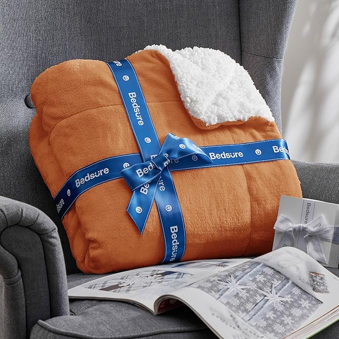 Bedsure GentleSoft Sherpa Fleece Throw Blanket Twin Size for Couch - Thick and Warm, Soft Fuzzy Plush Twin Blanket for Winter, Burnt Orange, 60x80 Inches