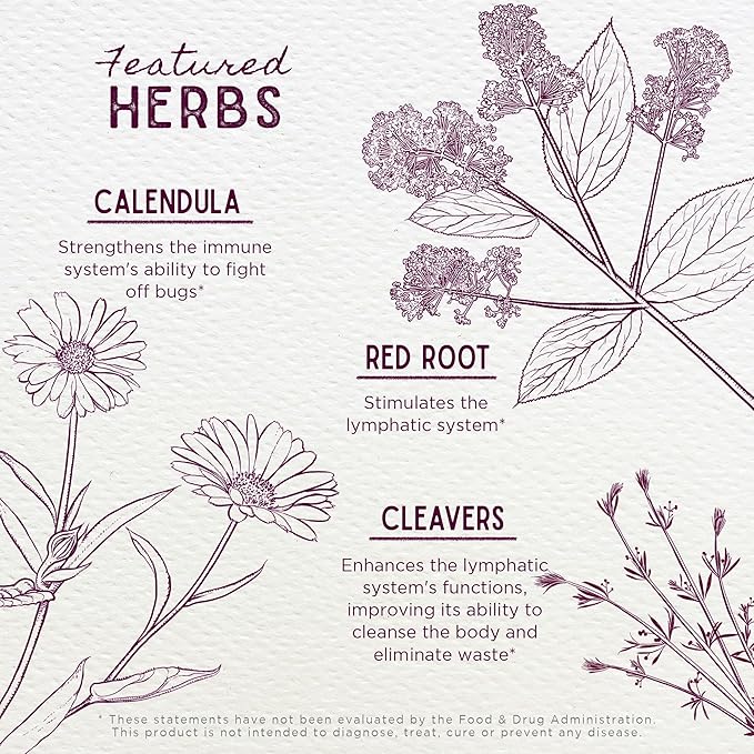 WishGarden Herbs Lymph Mover Immune Strength - Natural Herbal Lymphatic Drainage and Lymphatic Cleanse Supplement with Echinacea for Immune Support, Supports Healthy Lymphatic System Function, 4oz